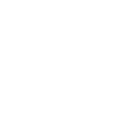 X icon